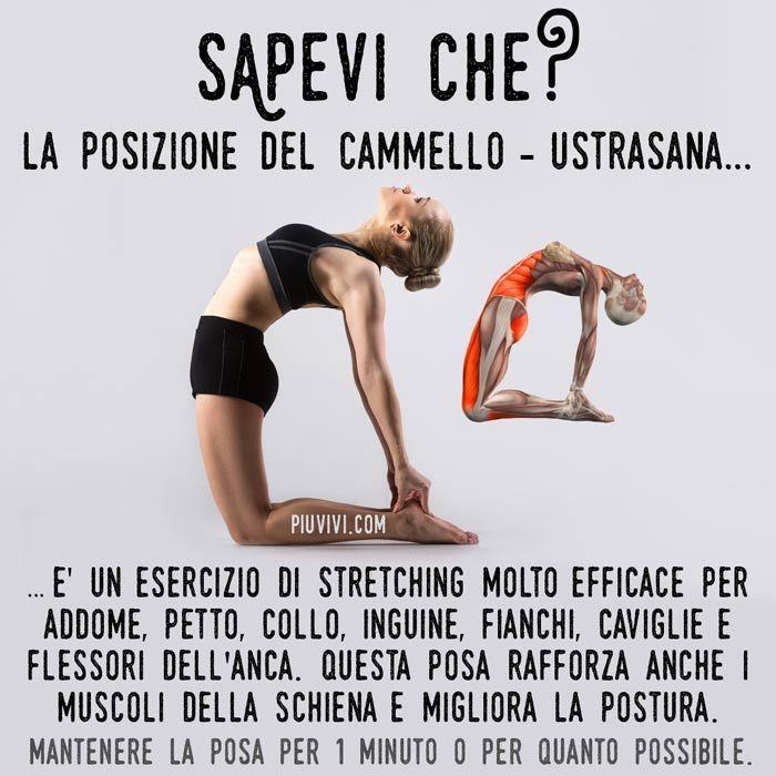 Vantaggi Del Yoga Per La Salute Fisica